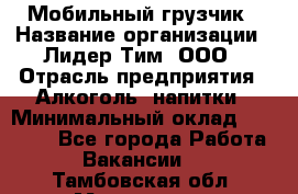 Мобильный грузчик › Название организации ­ Лидер Тим, ООО › Отрасль предприятия ­ Алкоголь, напитки › Минимальный оклад ­ 18 000 - Все города Работа » Вакансии   . Тамбовская обл.,Моршанск г.